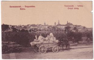 1911 Nagyszeben, Hermannstadt, Sibiu; Totalansicht / Orasul intreg / látkép, zsákokkal megrakott lovas szekér, erdélyi népviselet. W.L. (?) 648. / general view, horse-drawn carriage packed with goods, Transylvanian folklore (b)