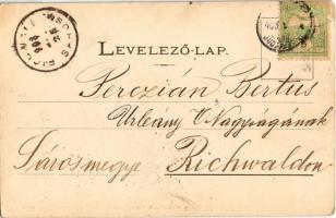 1903 Bosác, Bosáca (Trencsén); Dievca v Bosaci (Trencín). Slovenské kroje / Szlovák népviselet. P. S...