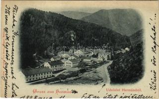 1898 (Vorläufer) Hermánd, Hermanecz, Harmanec; Papírgyár / paper mill, paper factory (vágott / cut)