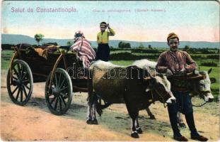 Constantinople, Istanbul; Char de déménagement (Gjotsch-Arabassi) / Turkish folklore (EB)