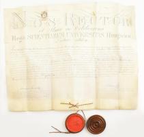 1882 Ehrenreich Ignác jogi diploma. Pergamen, függő viaszpecséttel Jendrassik Jenő (1824-1891) orvos, dékán aláírásával
