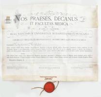 1909 Majtán Alajos gyógyszerészi diploma. Pergamen, függő viaszpecséttel (fedél hiányzik)