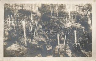 Shooting trench Military WWI (Eb)