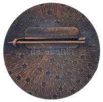 1980. Tudományos-Technikai Úttörőszemle" műgyantás fém jelvény T:UNC,AU