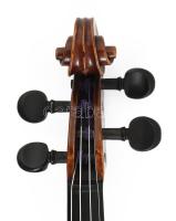 Ferenczy Alvina (Alvina de Ferenczy, 1890-1971) magyar származású, az első professzionális női ameri...