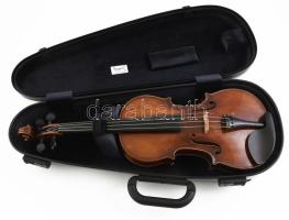 Ferenczy Alvina (Alvina de Ferenczy, 1890-1971) magyar származású, az első professzionális női ameri...