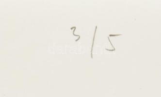 Saxon-Szász János (1964-). Alliance, 1990. Szitanyomat, papír, jelzett, számozott (3/5). Kissé sérül...