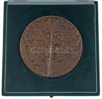 1995. Az 50 éves Szabad Föld Jubileumára bronz plakett, eredeti tokban. Szign.: CK (?) (95mm) T:AU