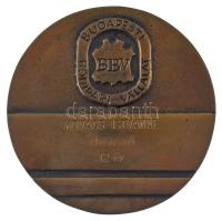 ~1970-1980. "Budapesti Bőripari Vállalat" névre szóló, gravírozott kétoldalas, bronz törzs...