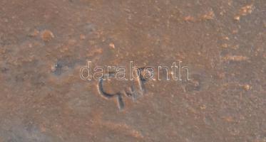 Gyulavári Pál (1949-): Ló plakett, vörösréz, domború ló ábrázolás tájban, apró karcolásokkal, jelzet...