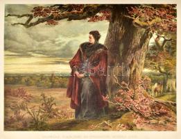 A magyar nemzet története V. kötet. Szerk.: Szilágyi Sándor. Acsády Ignác: Magyarország három részre...