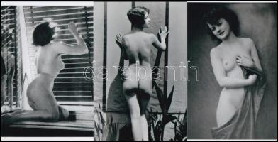 Asszonyok és lányok, pucéran és kacéran, szolidan erotikus felvételek, 5 db modern nagyítás Botta Dénes (1921-2010) budapesti fotóművész - különféle forrásokból származó - aktfotó gyűjteményéből, 10x15 cm