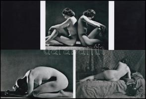 Elölről, hátulról, oldalról - cca 1960 előtt készült, szolidan erotikus felvételek, 5 db modern nagyítás Botta Dénes (1921-2010) budapesti fotóművész - különféle forrásokból származó - aktfotó gyűjteményéből, 10x15 cm