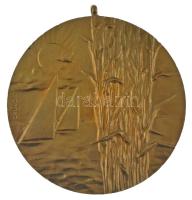 Gáll Gyula (1939-?) DN Velencei-tavi Sportversenyek kétoldalas aranyozott bronz emlékérem füllel (70mm) T:AU
