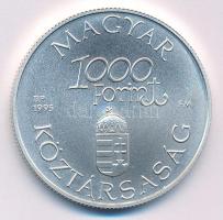 1995. 1000Ft Ag "Régi dunai hajók III - Hableány" kapszulában T:BU Adamo EM139