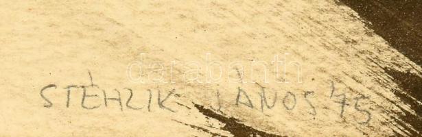 Stéhlik János (1942-2021): Kies táj. Lavírozott tus, papír, jelzett, hátoldalán Stéhlik János autogr...