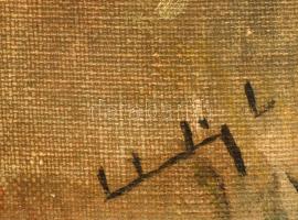 Olvashatatlan jelzéssel: Tavi tájkép. Olaj, vászon. Kissé sérült dekoratív fakeretben. Kissé hullámo...