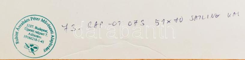 Rubint Ávrahám Péter (1959-): Sailing, 2016. Olaj, karton, jelzett, hátoldalán autográf felirattal é...