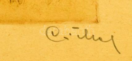 Csillag József (1894-1977): Nyíres. Színezett rézkarc. Üvegezett fakeretben. Lap széle foltos. 23x17...