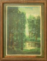 Nyáregyházi báró Nyáry Pál (?-?): Erdei tó. Akvarell, papír. Jelezve jobbra lent. Üvegezett fakeretben, 30×21 cm