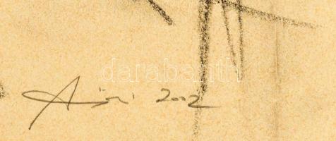 Alföldi Róbert (1967-): Ülő akt macskával, 2002. Szén, papír, jelezve jobbra lent, üvegezett fakeret...