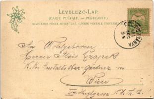 1904 Gölnicbánya, Göllnitz, Gelnica; Volkmár falu. Feitzinger Ede 550 L. 1902/12. / Dorf Volkmár bei...