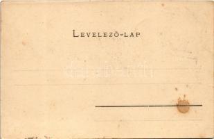 Kistorony, Neppendorf, Turnisor (Nagyszeben, Sibiu); Kaserne, Liebhardt's Gasthaus, Gartenwirts...