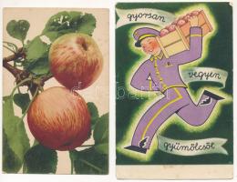 5 db RÉGI gyümölcsös motívum képeslap vegyes minőségben / 5 pre-1945 fruit motive postcards in mixed quality