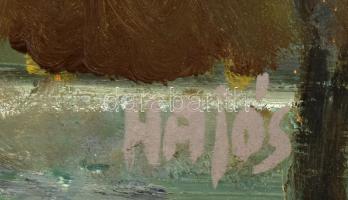 Hajós Hollanda Éva (1935-): Visegrád, Dunakanyar. Olaj, farost, jelzett, fakeretben, 36x54 cm. Prove...