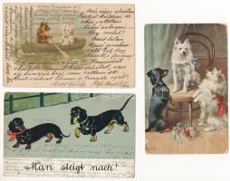 3 db RÉGI kutya motívum képeslap vegyes minőségben / 3 pre-1945 dog motive postcards in mixed quality