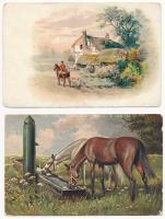 5 db RÉGI ló motívum képeslap vegyes minőségben / 5 pre-1945 horse motive postcards in mixed quality