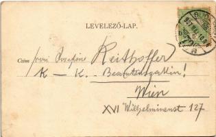 1907 Budapest VIII. Kerepesi út (Rákóczi út), Szent Rókus kórház, villamos (fl)