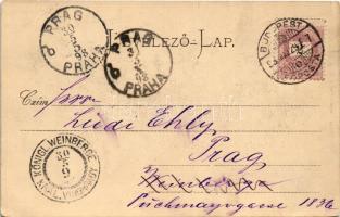 1898 (Vorläufer) Budapest V. Igazságügyi palota. Stengel & Co. (EK)