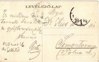 1907 Arad, Vesztőhely / monument (EK)