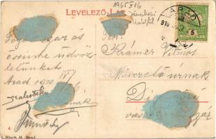 1910 Arad, Vértanú szobor, üzletek. Bloch H. kiadása / martyrs' monument, statue, shops (ragasz...