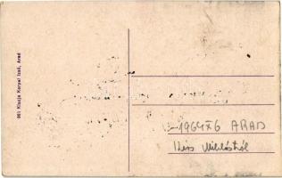 Arad, Vértanú szobor, üzletek. Kerpel Izsó kiadása / martyrs' monument, statue, shops (EK)