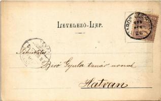 1900 Marosvásárhely, Targu Mures; Fő tér, piac / main square, market (EK)