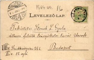 1905 Marosvásárhely, Targu Mures; Kossuth szobor a Fő téren, Bodor kút, Falkenstein Ödön, Bartscht K...
