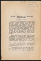 Váczy Péter: A Vazul-hagyomány középkori kútfőinkben. Forráskritikai tanulmány. A szerző által DEDIK...