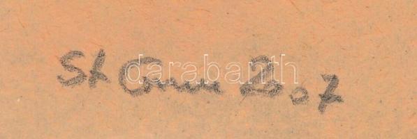 Stefan Grecu (?-?): Virágcsendélet. Pasztell, tus, papír, jelzett, paszpartuban, 20x10 cm