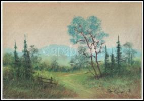 Stefan Grecu (?-?): Tájkép. Pasztell, tus, papír, jelzett, paszpartuban, 17,5x25 cm