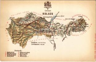 Kolozs vármegye térképe. Károlyi Gy. kiadása / Map of Cluj county (szakadás / tear)