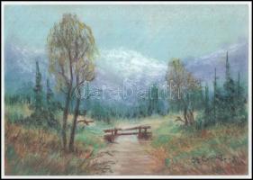 Stefan Grecu (?-?): Tájkép. Pasztell, tus, papír, jelzett, paszpartuban, 17,5x25 cm