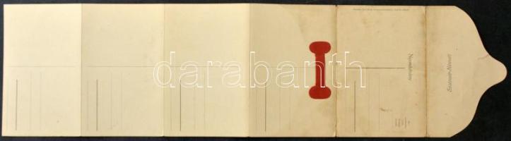 Szatmárnémeti, Satu Mare; 6-részes kinyitható leporello 5 db képeslappal. Lövy Miksa kiadása / 6-til...