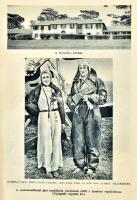 Széchényi Zsigmond: Elefántország. Afrikai vadásznaplójegyzetek. (1932-33,1933-34.) 
Bp., [1934], D...