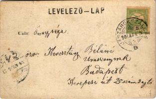 1900 Diósgyőr (Miskolc), várrom. photo (EK)