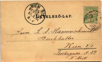 1901 Keszthely, Balaton fürdő, Gróf Festetics kastély, M. kir. gazdasági tanintézet, Városháza, Főgi...