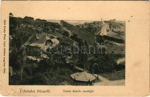 1911 Pécs, Tetyei (Tettyei) Scholz vendéglő. Kiadja Fürst Lipót (szakadás / tear)