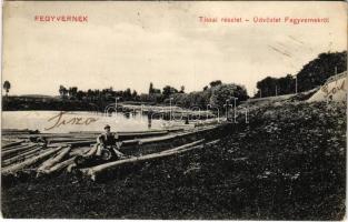 1914 Fegyvernek, Tiszai részlet