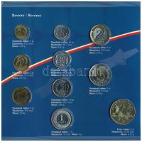 Lengyelország 1995-2004. 1gr-5Zl (10xklf) forgalmi összeállítás karton dísztokban, közte 2004. 2Zl &...